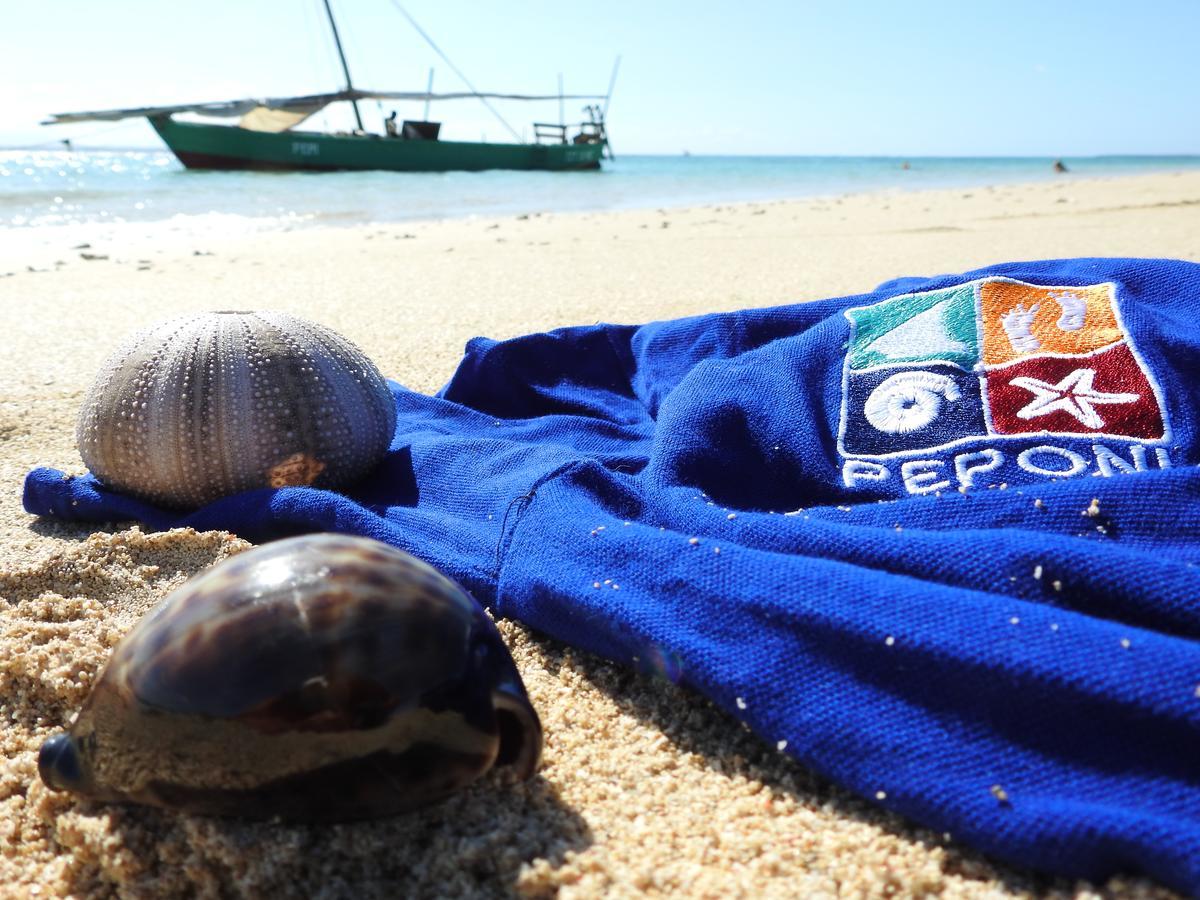 Peponi Beach Resort Pangani Dış mekan fotoğraf
